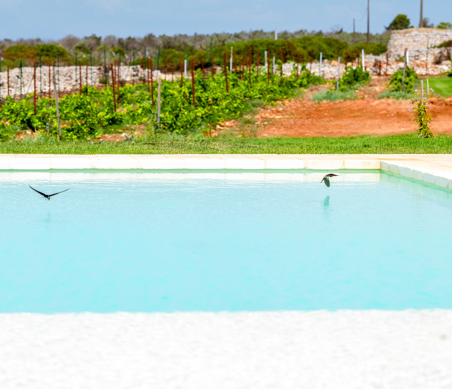 masseriavecchia-slide-8